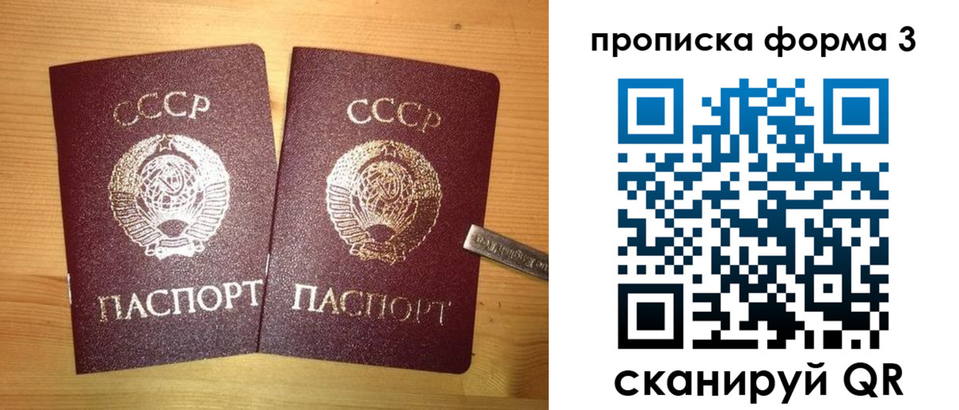 прописка иностранных граждан в Новодвинске