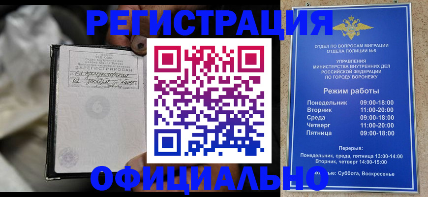 где прописаться в Новодвинске