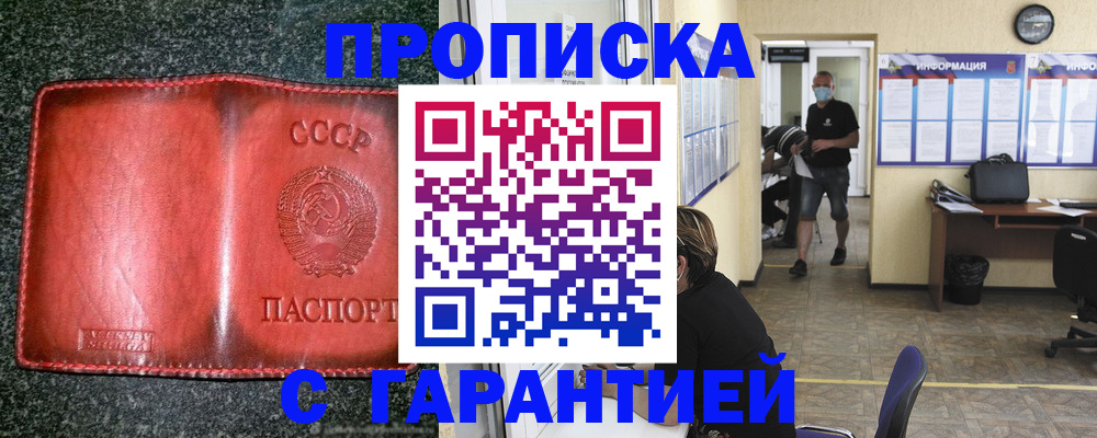 прописка гарантия в Новодвинске